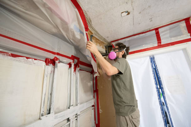 Best HVAC Mold Inspection and Cleaning  in Romney, WV